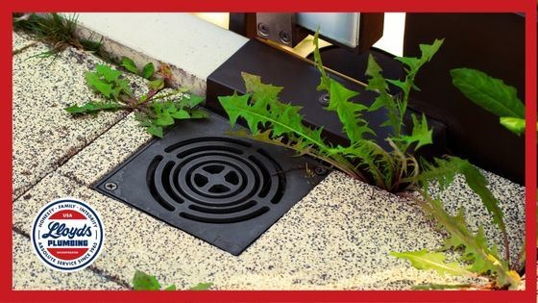 A tan ceiling next to a wood door frame with water damage and bubbles under the paint