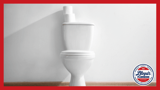 A white toilet in front of a white wall with two rolls of toilet paper on top