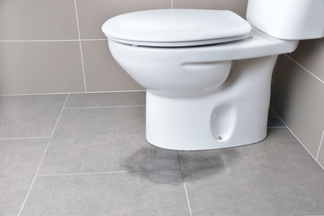 Picture of Toilet Leaking At Base