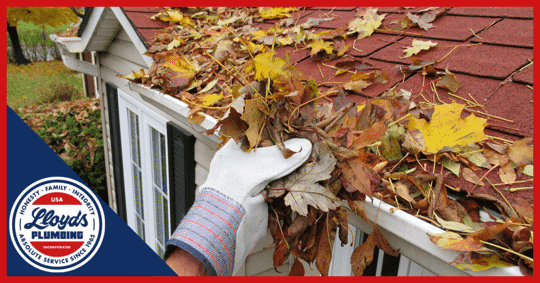 How to Clean Your Drains and Prepare Your Home for Rain