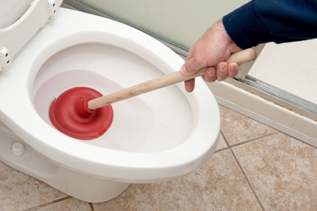 Toilet Troubles 101: Everything a Homeowner Needs to Know