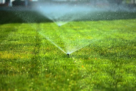 Five Interesting Facts About Residential Irrigation Systems
