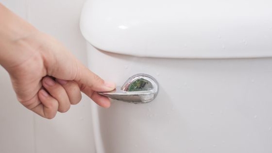 What Not to Flush Down Your Toilet (A Guide to Avoiding Disaster)